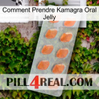 How To Take Kamagra Oral Jelly 26